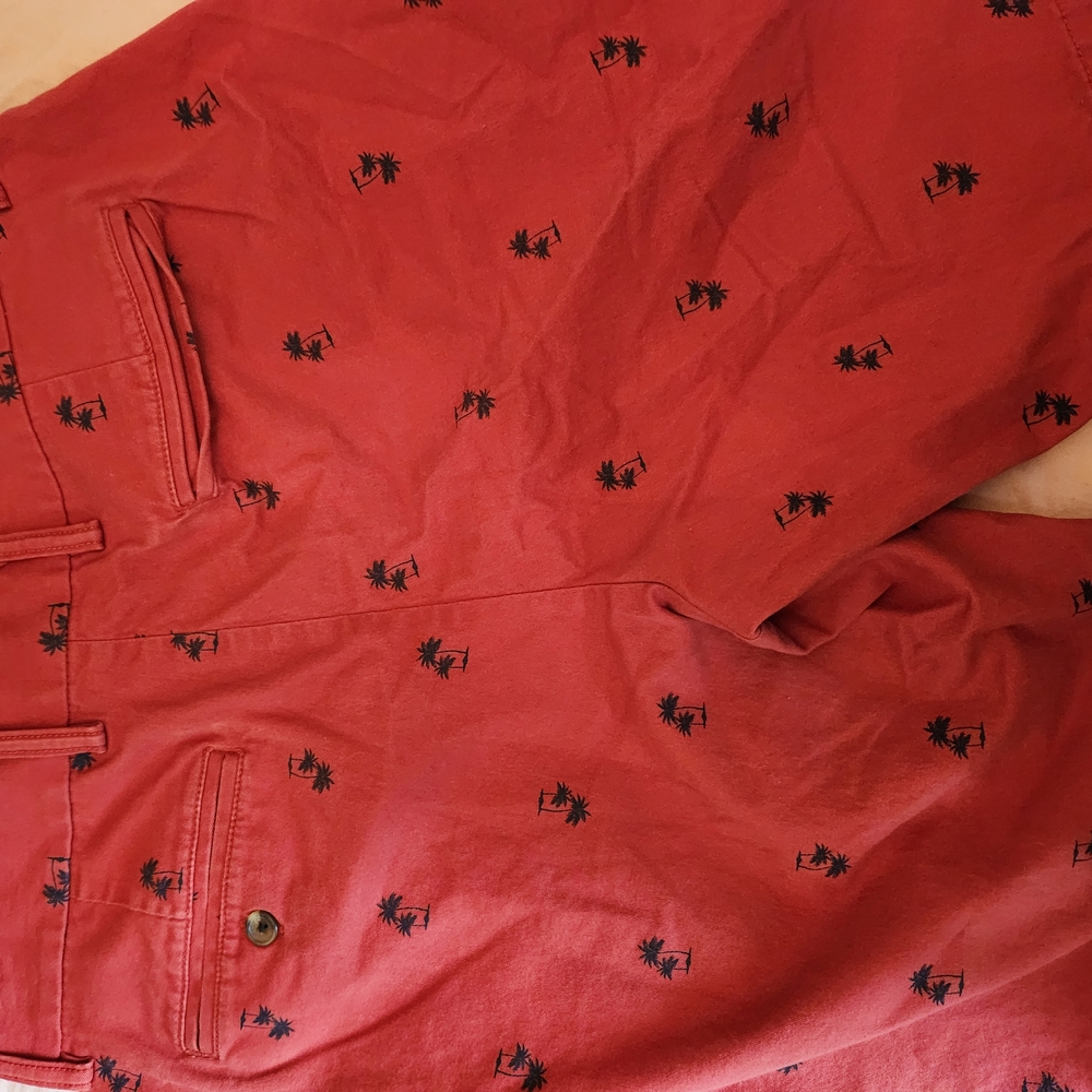 Red Shorts with Palm Tree Print - Picture 7 of 7